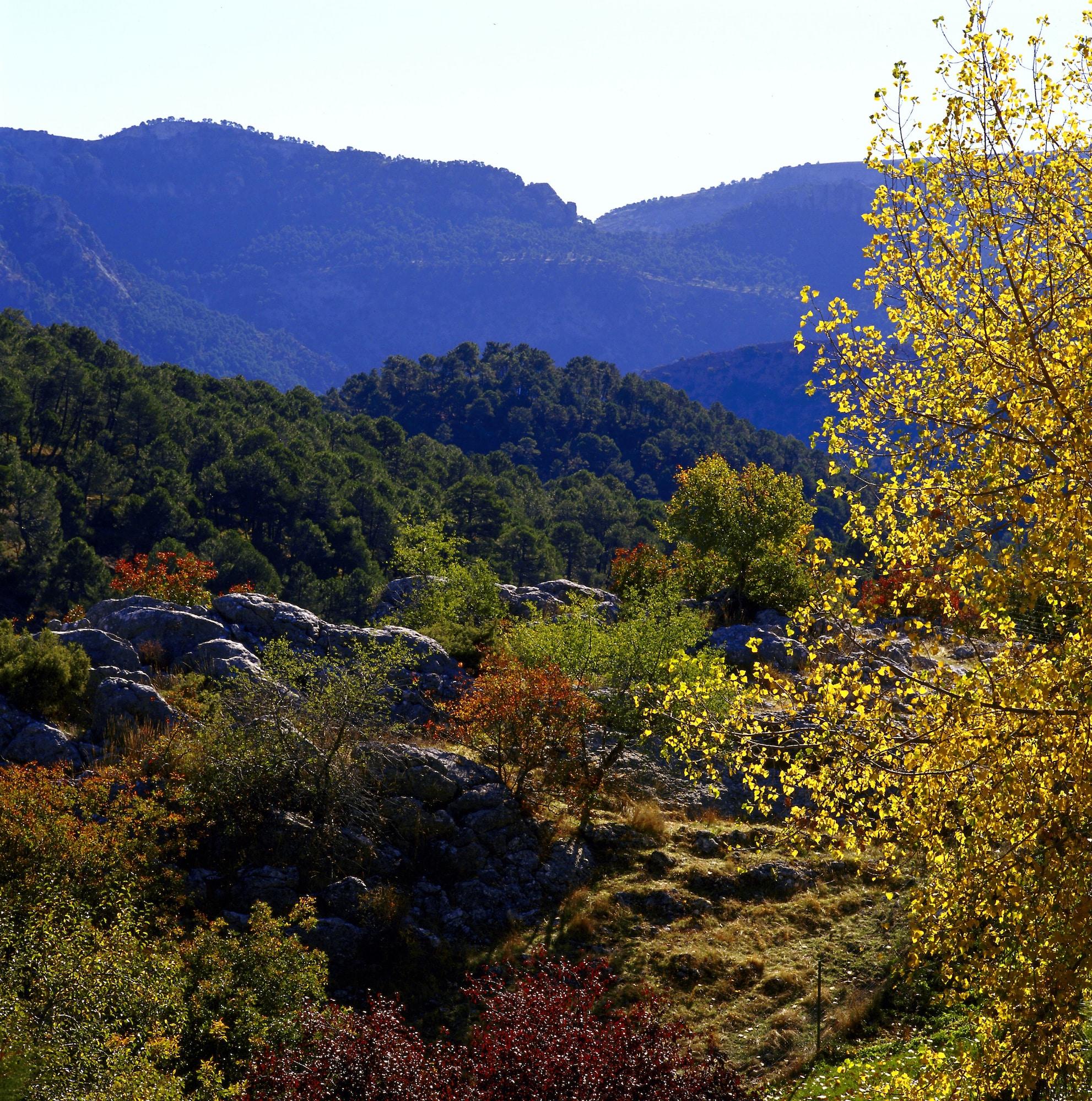 Parador De Cazorla Eksteriør billede